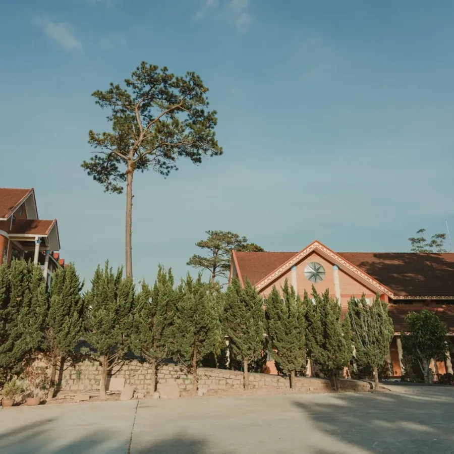 Tại Võ Thiện Minh Thạnh